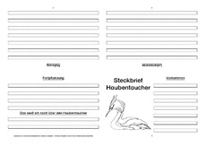 Haubentaucher-Faltbuch-vierseitig.pdf